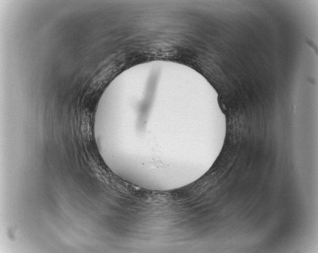 X0000102271058200808151859