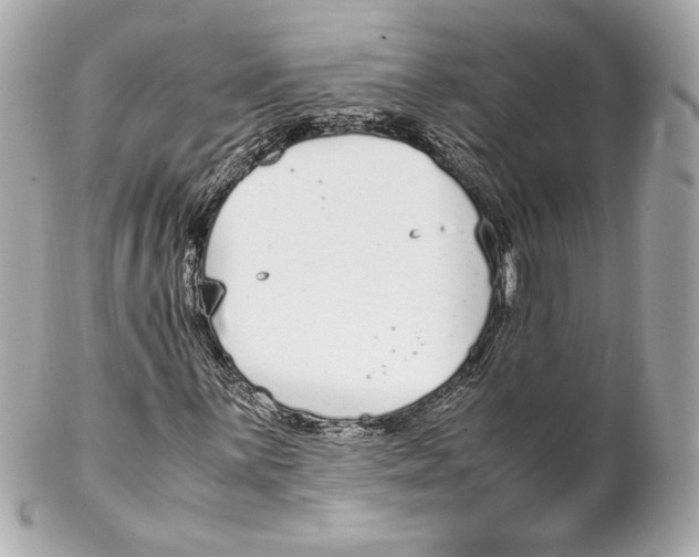 X0000102271059200808151859