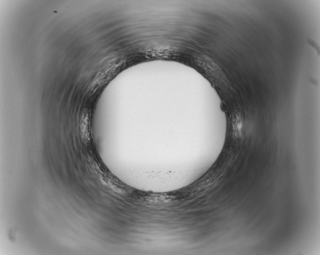 X0000102271060200808151859