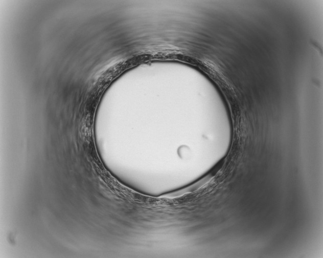 X0000102271063200808151859