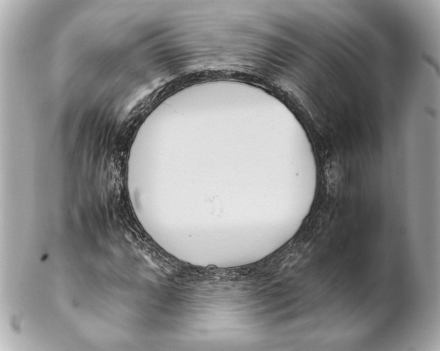 X0000102271064200808151859