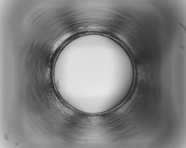 X0000102271066200808151859