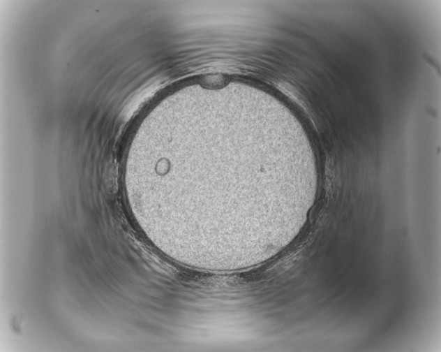 X0000102271067200808151859