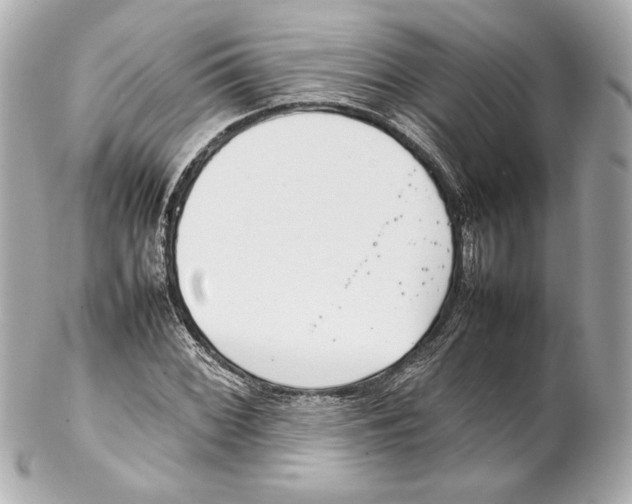 X0000102271068200808151859