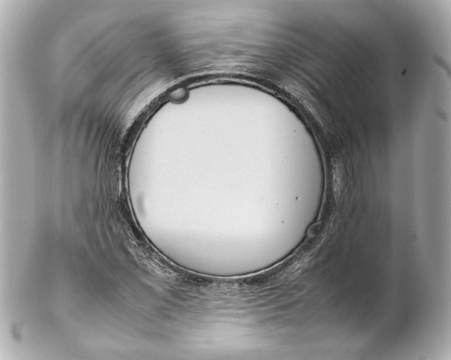 X0000102271069200808151859