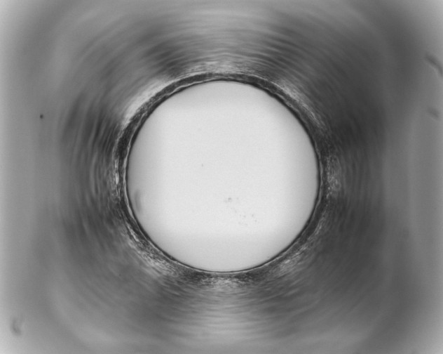 X0000102271070200808151859