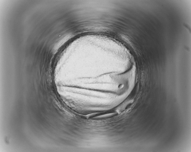 X0000102271071200808151859