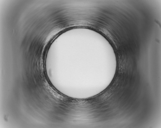 X0000102271072200808151859