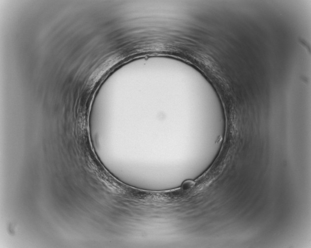 X0000102271073200808151859