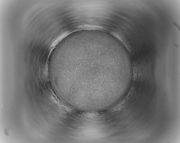 X0000102271074200808151859