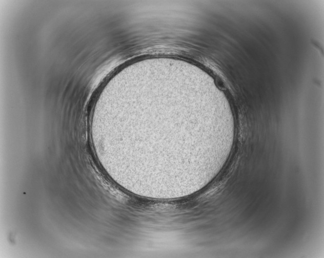 X0000102271075200808151859