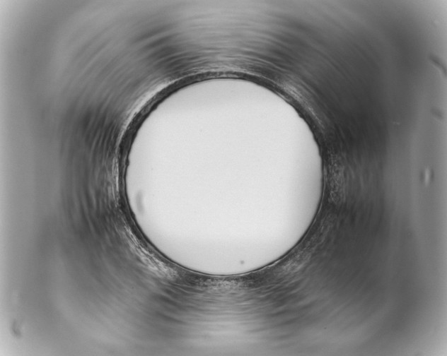 X0000102271076200808151859