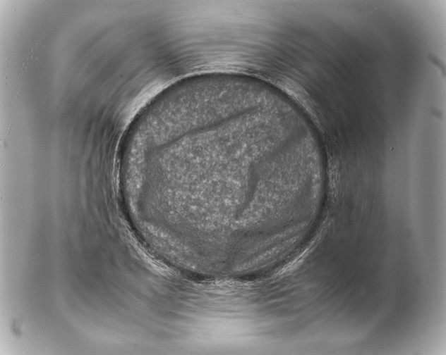 X0000102271077200808151859