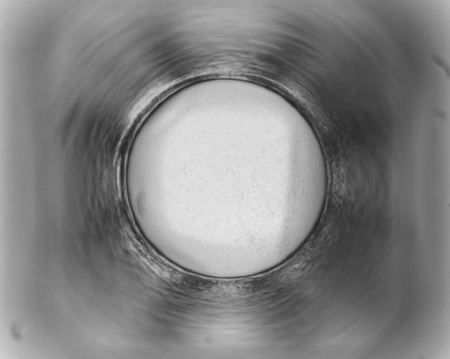 X0000102271078200808151859