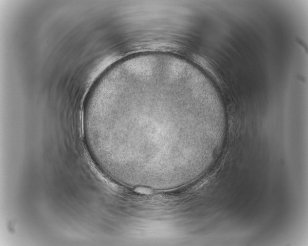 X0000102271079200808151859