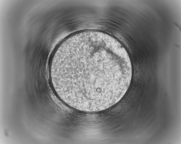 X0000102271080200808151859