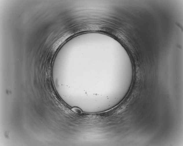 X0000102271081200808151859