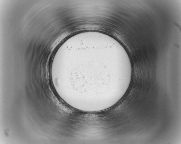 X0000102271082200808151859