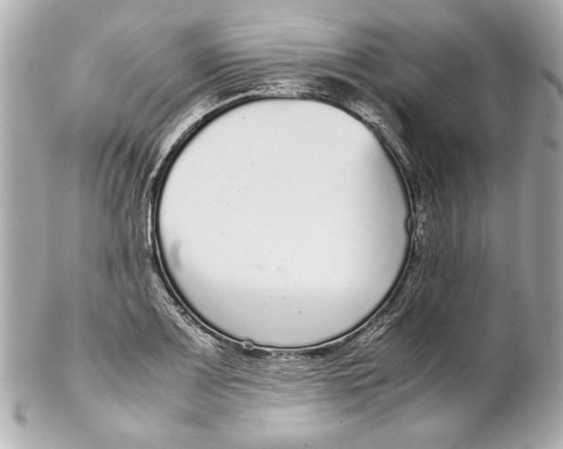 X0000102271083200808151859