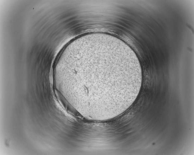 X0000102271084200808151859