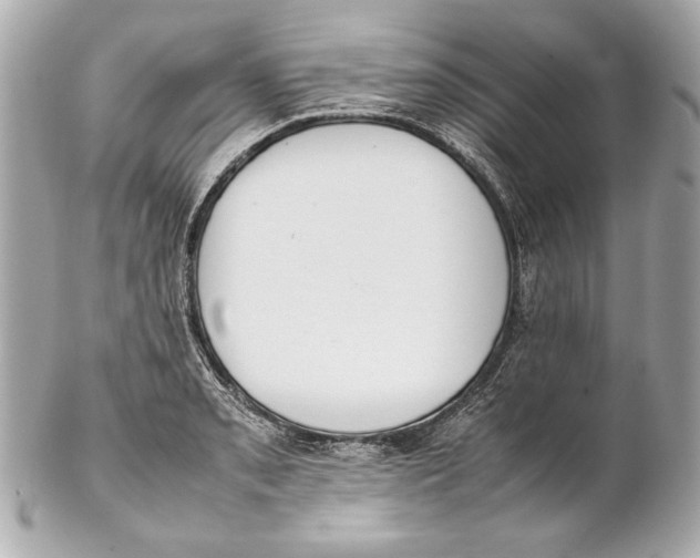 X0000102271085200808151859