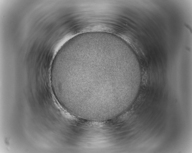 X0000102271086200808151859