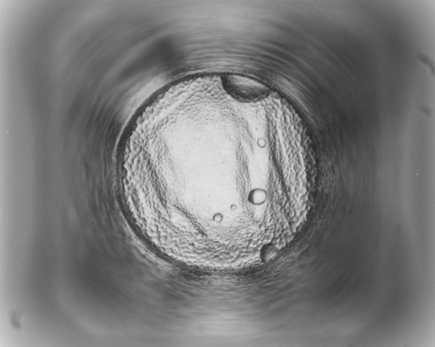 X0000102271087200808151859