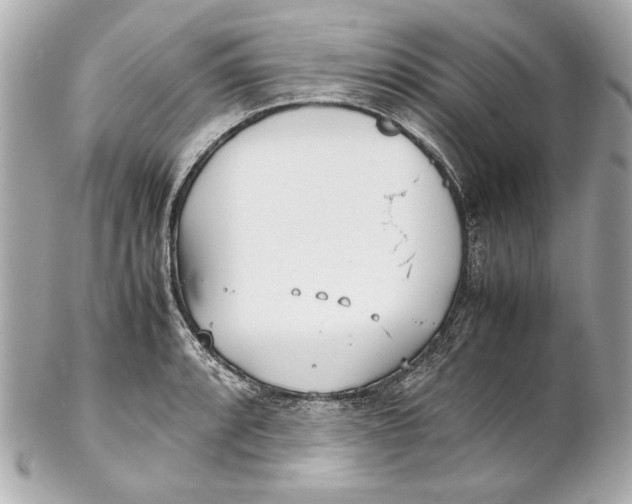 X0000102271088200808151859