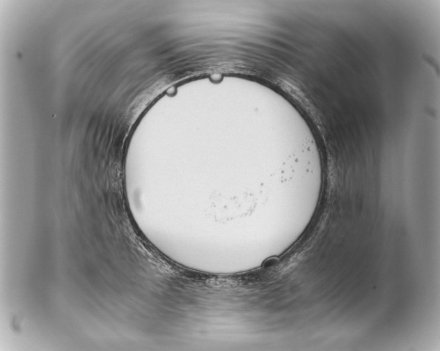 X0000102271089200808151859