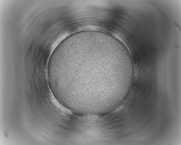 X0000102271090200808151859