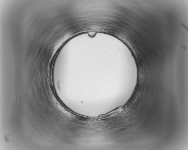 X0000102271091200808151859