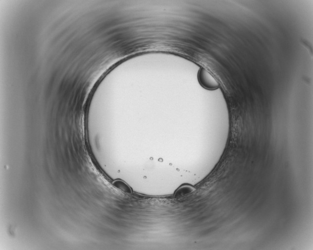 X0000102271092200808151858