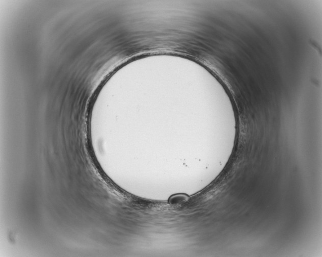 X0000102271093200808151858