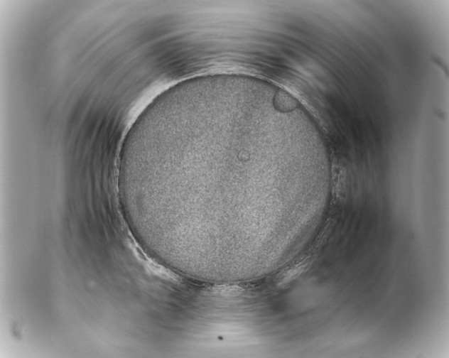 X0000102271094200808151858