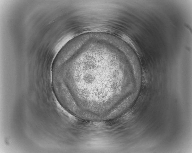 X0000102271095200808151858