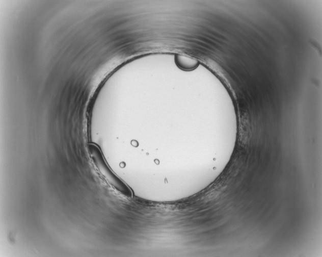 X0000102271096200808151858