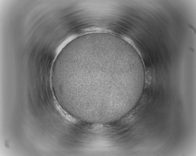 X0000102271098200808151858