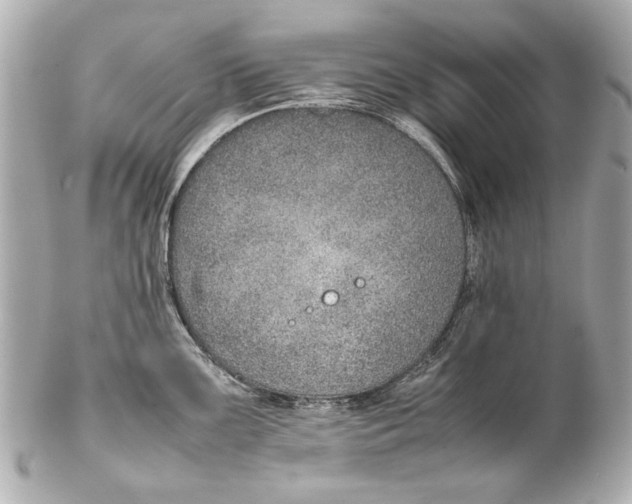 X0000102271099200808151858