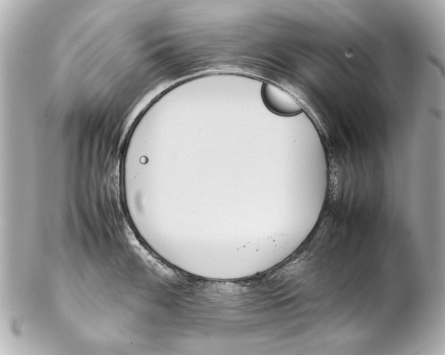 X0000102271100200808151858