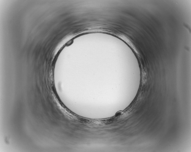 X0000102271101200808151858