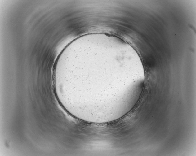 X0000102271103200808151858