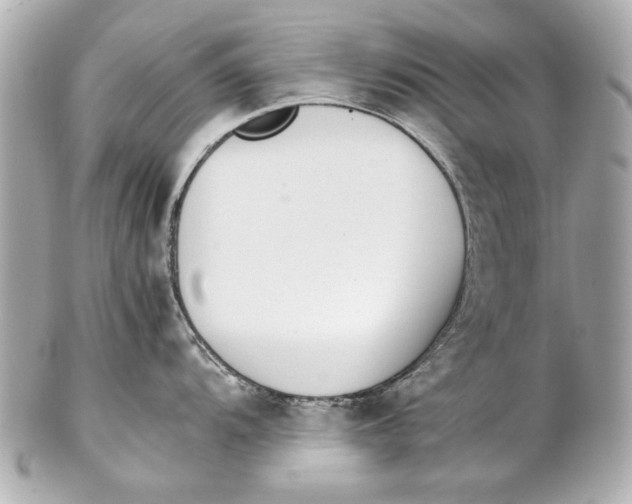 X0000102271104200808151858