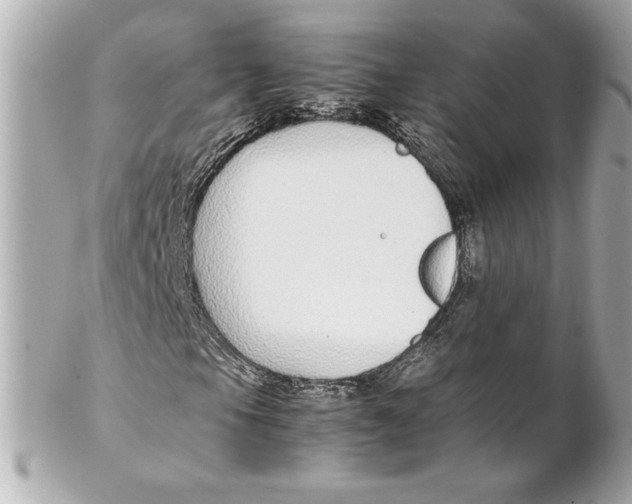 X0000102271105200808151858