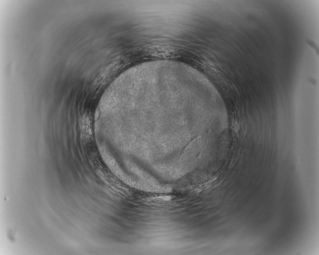 X0000102271106200808151858