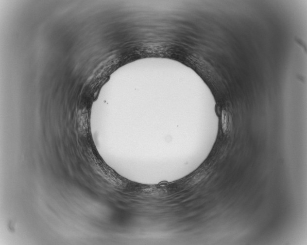 X0000102271107200808151858