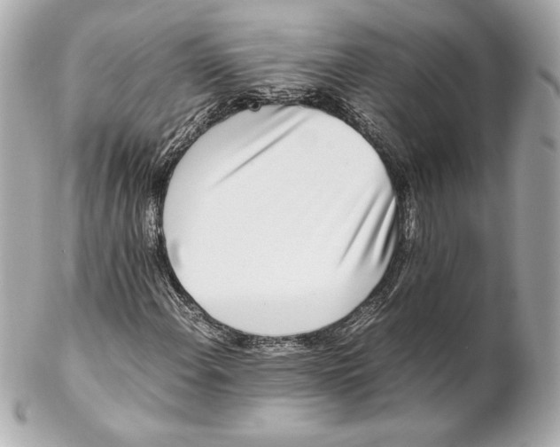 X0000102271108200808151858