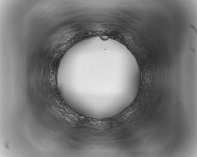 X0000102271109200808151858