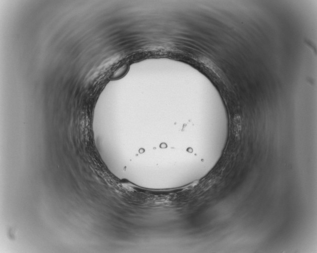 X0000102271111200808151858