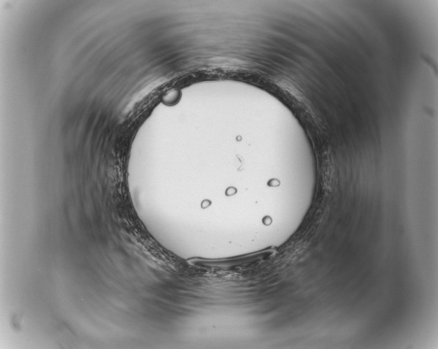 X0000102271112200808151858