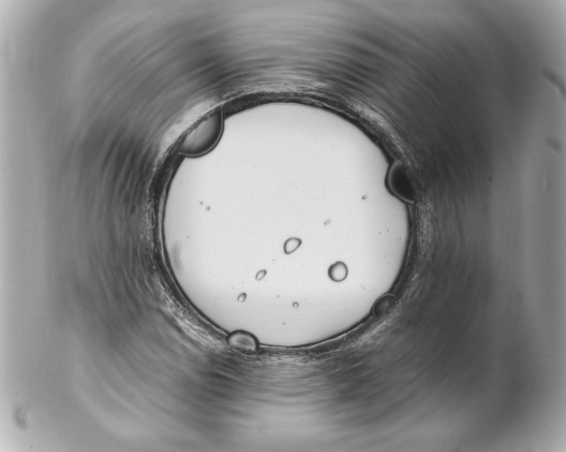 X0000102271114200808151858